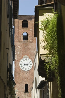 Toscana Prints: Tower, Lucca, Tuscany, Italy, Europe