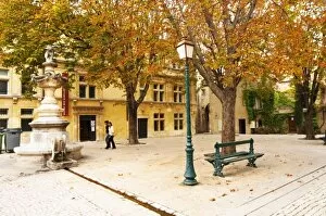 Town square in the old town, with trees with leaves in autumn colour. Place Pelissier