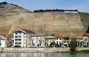 The town Tain l Hermitage, the riverside side, the river Rhone. The name of