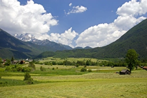 Images Dated 13th June 2006: A tractor harvesting a hay field on a farm at Imst, Austria. austria, austrain