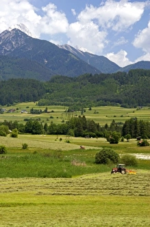 Images Dated 13th June 2006: A tractor harvesting a hay field on a farm at Imst, Austria