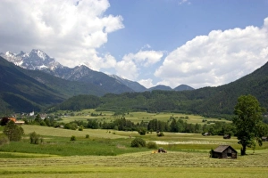 Images Dated 13th June 2006: A tractor harvesting a hay field on a farm at Imst, Austria