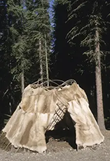Cabin Prints: Traditional Athabaskan dome shaped dwelling covered with caribou hides called a wickiup