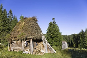 Spruce Prints: Traditional Farm House in the Apuseni Mountains, Romania