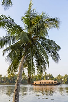 House Boat Prints: Traditional house boat, Kerala backwaters, nr Alleppey, (or Alappuzha), Kerala, India