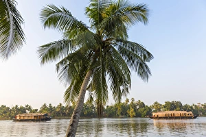 Images Dated 20th December 2013: Traditional house boat, Kerala backwaters, nr Alleppey, (or Alappuzha), Kerala, India