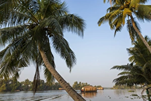 Images Dated 20th December 2013: Traditional house boat, Kerala backwaters, nr Alleppey, (or Alappuzha), Kerala, India