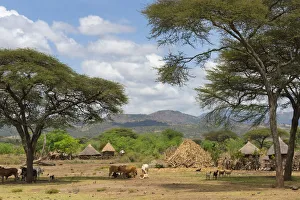 Houses Prints: Traditional houses with thatched roof in the village, Konso, Ethiopia