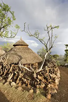 Images Dated 6th February 2010: Traditional Konso village on a mountain ridge overlooking the rift valley