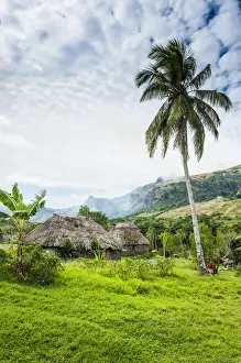 Images Dated 10th July 2011: Traditional thached roofed huts in Navala in the Ba Highlands of Viti Levu, Fiji