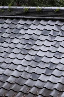 Images Dated 20th June 2012: Traditional tiled roof in the grounds of Ryozen Gokoku Jinja (shrine), which houses
