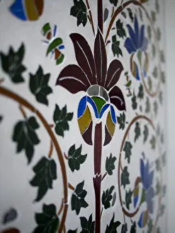 Painting Prints: Traditional wall painting in Udaipur, Rajasthan, India