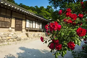 Korean Prints: Traditional wooden house in the Yangdong folk village near Gyeongju, South Korea
