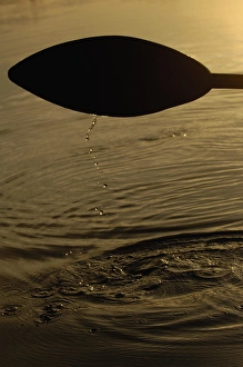 Images Dated 27th April 2007: Traditional wooden paddle used by the Quichua Indians on the Napo River