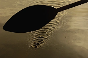 Images Dated 27th April 2007: Traditional wooden paddle used by the Quichua Indians on the Napo River