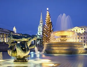 Christmas Tree Prints: Trafalgar Square at Christmas, London, England