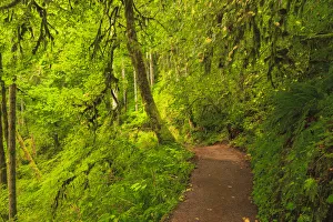 Trail of Ten Falls, Silver Falls State Park, near Silverton, Oregon
