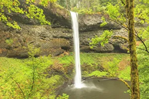 Images Dated 18th September 2010: Trail of Ten Falls, Silver Falls State Park, near Silverton, Oregon