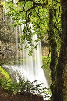 Images Dated 18th September 2010: Trail of Ten Falls, Silver Falls State Park, near Silverton, Oregon