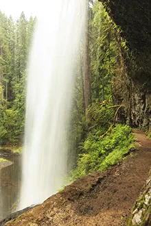 Images Dated 18th September 2010: Trail of Ten Falls, Silver Falls State Park, near Silverton, Oregon