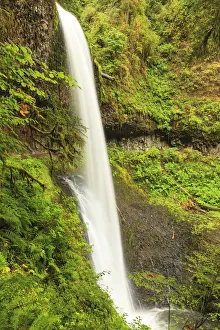 Images Dated 18th September 2010: Trail of Ten Falls, Silver Falls State Park, near Silverton, Oregon