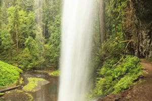 Images Dated 18th September 2010: Trail of Ten Falls, Silver Falls State Park, near Silverton, Oregon