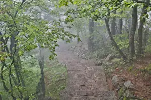 Stairs Prints: Trail in Fog Yellow Mountains a UNESCO World Heritage Site