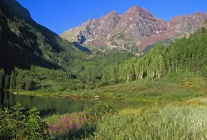 Trail in Maroon Bells in the summertime