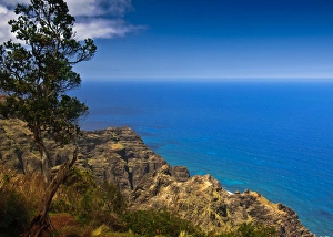 Trail Overlook, Nepali Coast, Kauai, Hawaii, USA