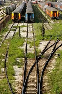 Trains on a siding. Belgrade