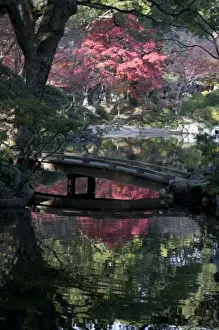Images Dated 5th December 2010: Tranquil fall setting with changing leaves reflected in pond of classical Shukkeien