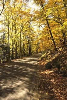 Images Dated 16th December 2004: Tranquil Road with Fall Colors in New Hampshire