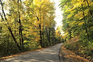 Images Dated 16th December 2004: Tranquil Road with Fall Colors in Vermont