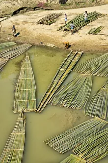 Bamboo Prints: Transporting bamboo timber on the river, Chittagong Division, Bangladesh