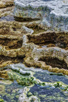 Travertine Prints: Travertine pools of Mammoth Hot Springs in Yellowstone National Park