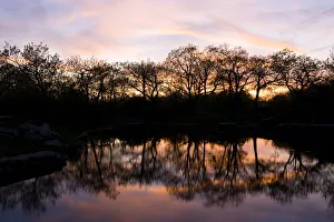 Reflect Prints: Trees and sunset sky reflections on a pond on Mount Wachusett. Mount Wachusett State Paek