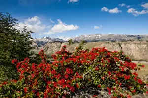 Trek up to Mount Fitzroy from the Unesco world heritage sight El Chalten, Argentina