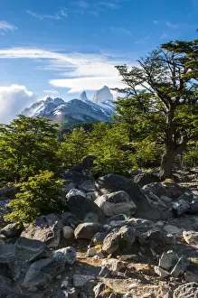 Images Dated 26th November 2011: Trek up to Mount Fitzroy from the Unesco world heritage sight El Chalten, Argentina