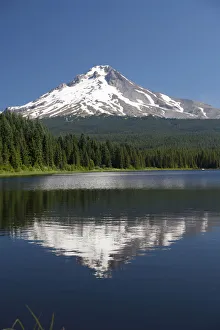 Images Dated 15th July 2006: Trillium Lake, Mt. Hood National Forest, Mt. Hood in the background, Oregon, USA