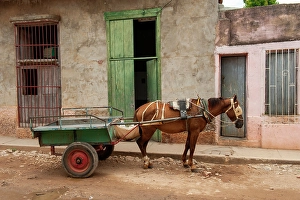 Rope Prints: Trinidad, Cuba. An old horse in the streets of Trinidad