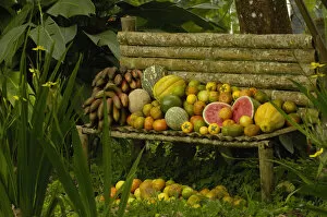 Tropical fruit ECUADOR. South America
