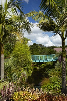 Waikato Prints: Tropical Garden, Hamilton Gardens, Waikato, North Island, New Zealand