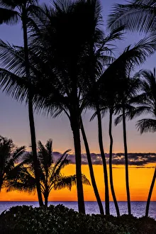Romantic Prints: Tropical Sunset