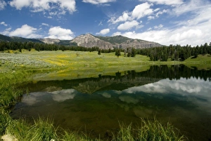 Yellow Stone Prints: Trout Lake in Yellowstone National Park