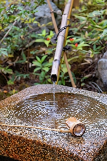 Bamboo Prints: Tsukubai, Japanese ceremonial stone washbasin, Kyoto, Japan