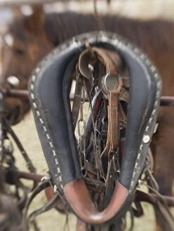 Tucson, Arizona: Ropes and hanrnesses used on horse drawn wagons