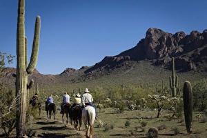 Images Dated 10th February 2012: Tucson, Arizona, United States. White Stallion Dude Ranch