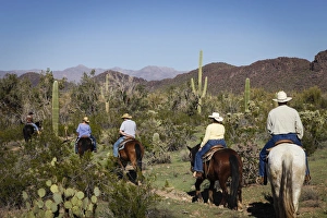 Images Dated 10th February 2012: Tucson, Arizona, United States. White Stallion Dude Ranch