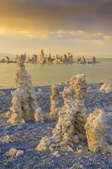 Mono Lake Prints: Tufas on Mono Lake, Eastern Sierras, California, USA