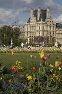 Images Dated 26th April 2006: Tuileries Garden, Louvre, Paris, France